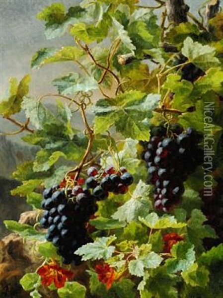 Druer (bunches Of Growing Blue Grapes And Orange-coloured Garden Nasturtium) Oil Painting - Anthonie Eleonore (Anthonore) Christensen