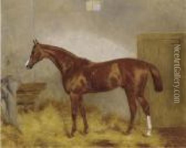 Cymbal, A Chestnut Racehorse In A Stable Oil Painting - Harry Hall