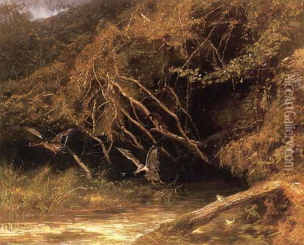 Forest with Ducks and Frogs Oil Painting - Karl Bodmer