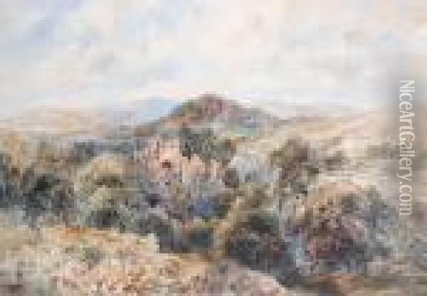 Extensive Landscape Views Towards Tinternabbey Ruins Oil Painting - David Cox