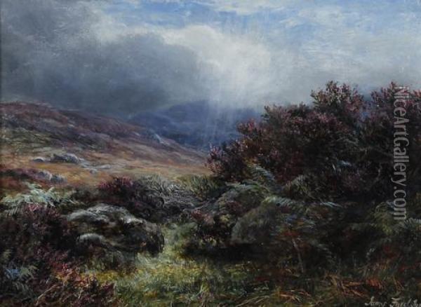 In The Scottish Hills, The Heather In Flower Oil Painting - John Faed