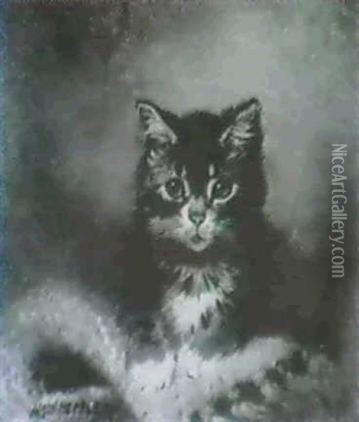 A Portrait Of A Tabby Kitten Oil Painting - Wilson Hepple