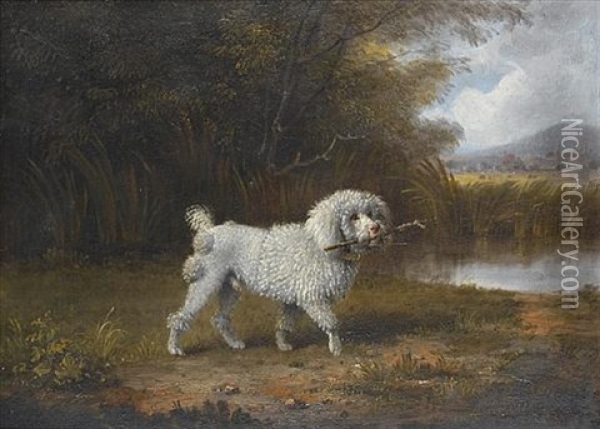 A Poodle In A Landscape Oil Painting - Edmund Bristow
