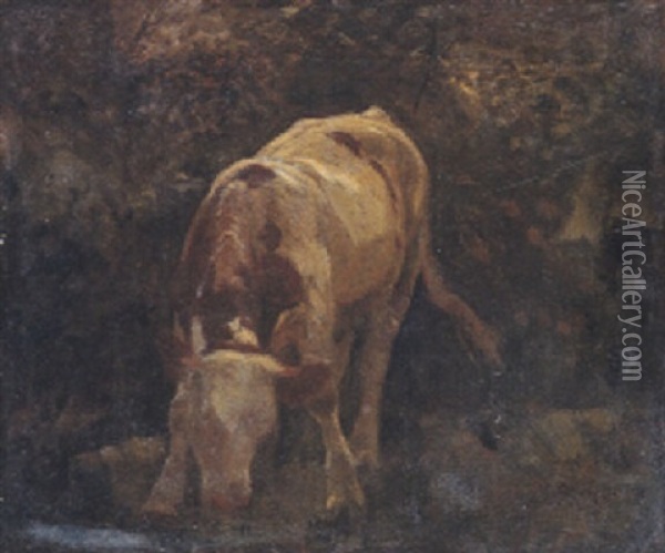 Trinkende Kuh An Einem Fluss Oil Painting - Johann Rudolf Koller