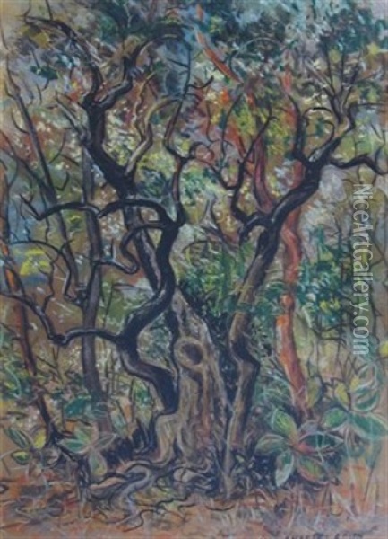 Forest Scene Oil Painting - Charles Rosen