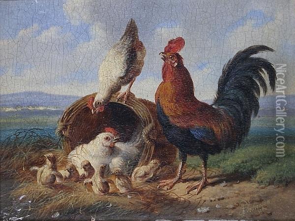 Rooster, Hens And Chicks In A Field Oil Painting - Albertus Verhoesen