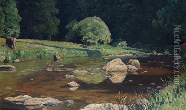 Bobritzsch River (study) Oil Painting - Eugen Felix Prosper Bracht