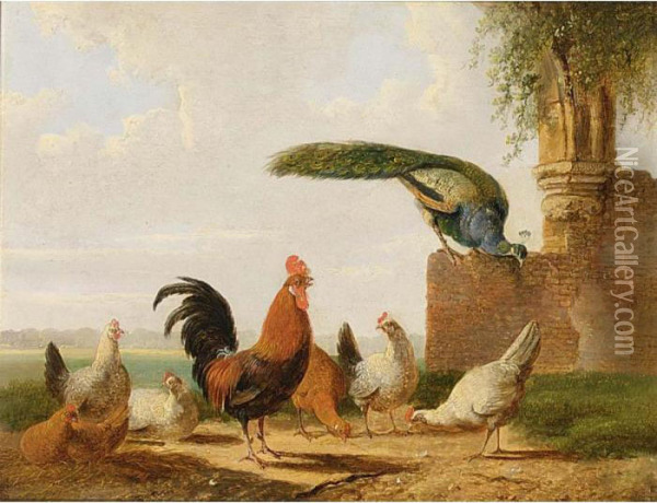 The Poultry Yard Oil Painting - Albertus Verhoesen