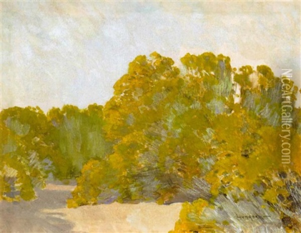 A Grove Of Trees In The Sun Oil Painting - Fernand Harvey Lungren