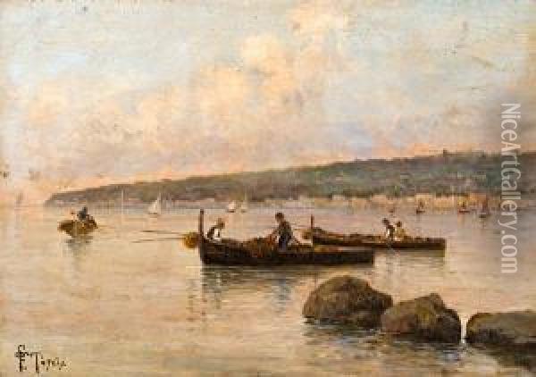 Barche Di Pescatori Oil Painting - Francesco Saverio Torcia