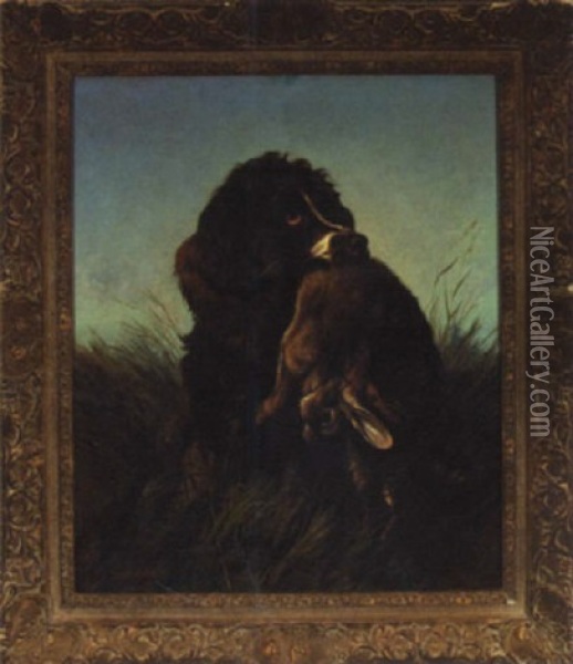 Hunting Spaniel And Hare Oil Painting - Colin Graeme