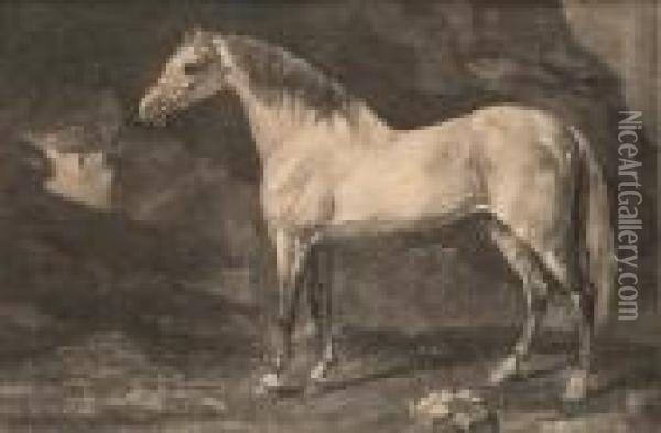 An Arabian Belonging To Mr Gregory (lennox-boyd 24) Oil Painting - George Stubbs