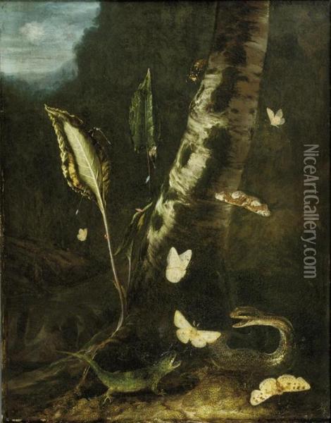 A Forest Floor With A Lizard, A Snake And Butterflies Oil Painting - Otto Marseus Snuff. Van Schrieck