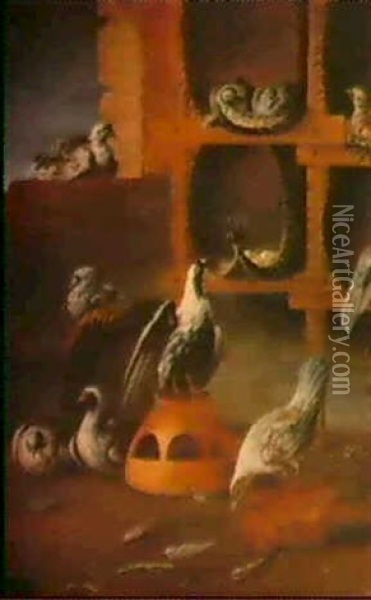 A Pigeon Loft Oil Painting - Felice Boselli