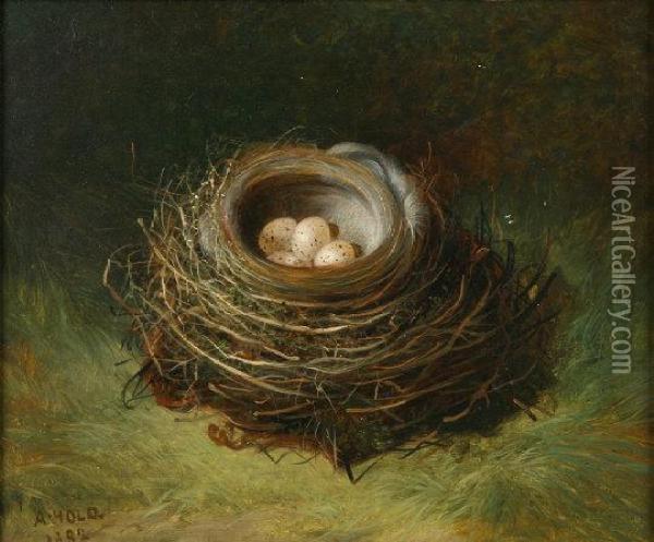 Study Of A Birds Nest With Eggs Oil Painting - Abel Hold