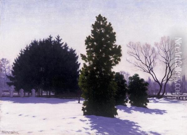 In The Park In Winter Oil Painting - Samu Bortsok