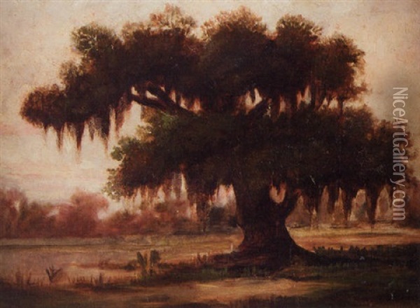 Tree With Spanish Moss, Louisiana Bayou Oil Painting - Sidonia (Mrs. Lewis Crager) Loeb