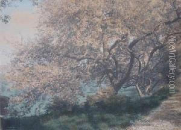 Blossoming Tree Oil Painting - Wallace Nutting