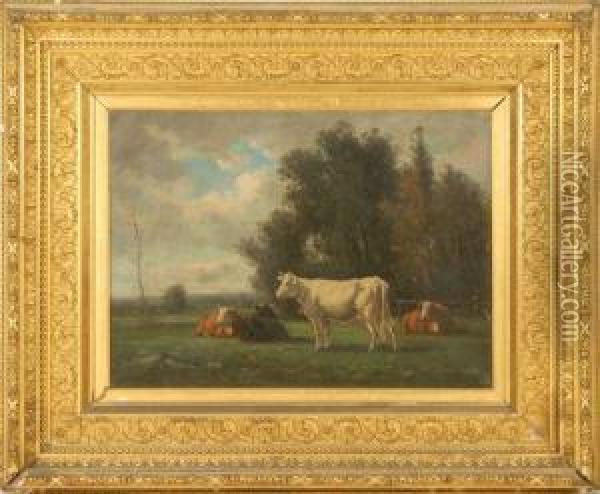 Cows In A Pasture. Oil Painting - William Pearson