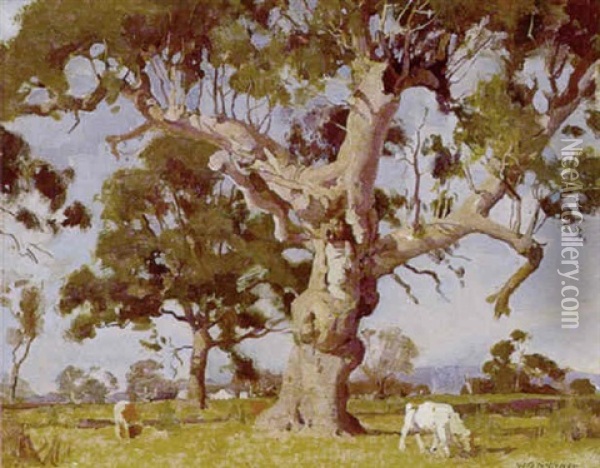 The Old Tree Oil Painting - William Beckwith Mcinnes
