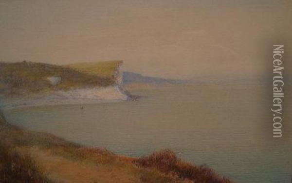 A Headland Footpath On The Devonshire Coast Oil Painting - John White