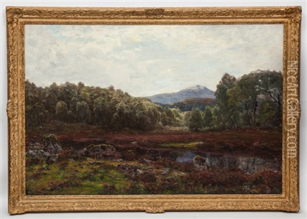 The Rob Roy Burn, Wiith Ben More In The Distance Oil Painting - Alexander Brownlie Docharty