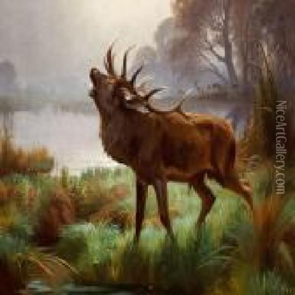 A Roaring Stag Standing By A Lake Oil Painting - Adolf Henrik Mackeprang