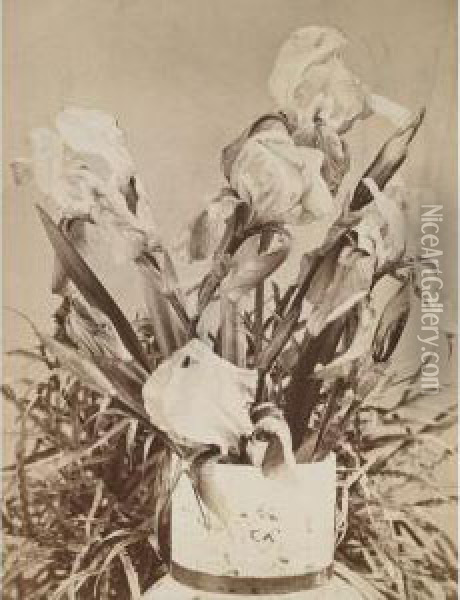 Vase With Irises Oil Painting - Louis Comfort Tiffany