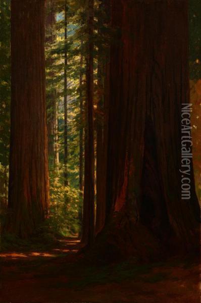 Redwood Grove At Big Trees, Santa Cruz, Ca Oil Painting - Lorenzo Palmer Latimer