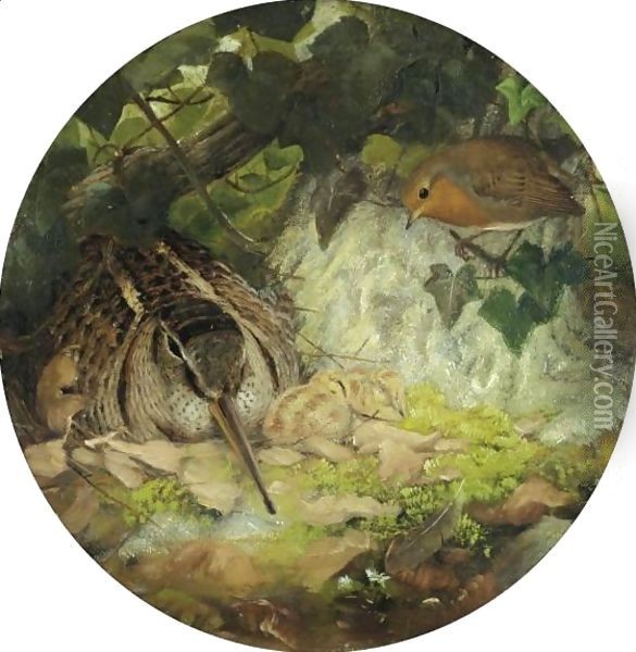 A Woodcock With Its Young And A Robin Oil Painting - Joseph Wolf