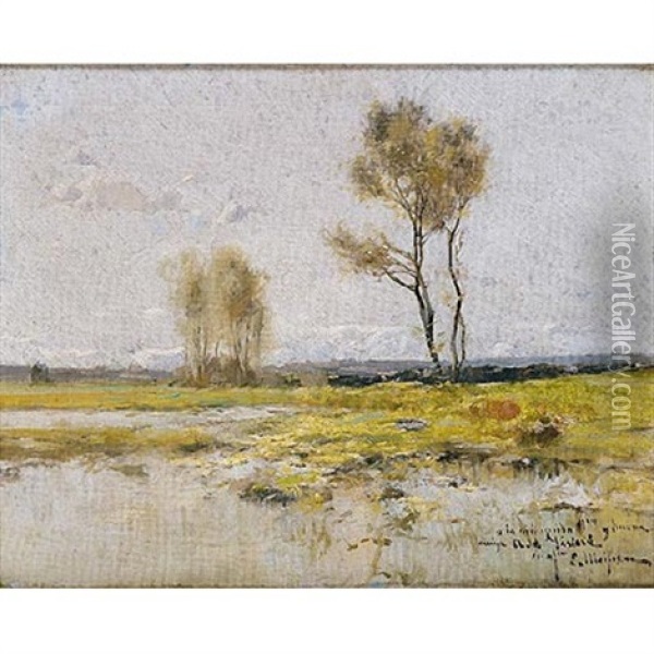 El Lago De Banolas Oil Painting - Eliseo Meifren y Roig
