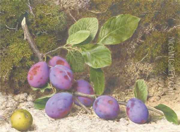 A bough of plums and an apple on a mossy bank Oil Painting - John Sherrin