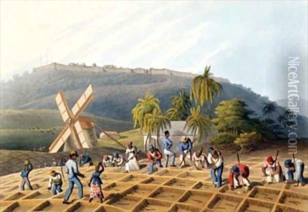 Slaves Planting Cane Cuttings Oil Painting - William Clark