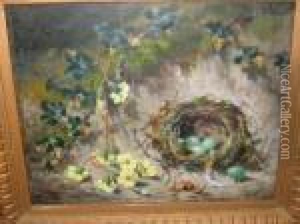 Birds Nest And Primroses Oil Painting - George Clare