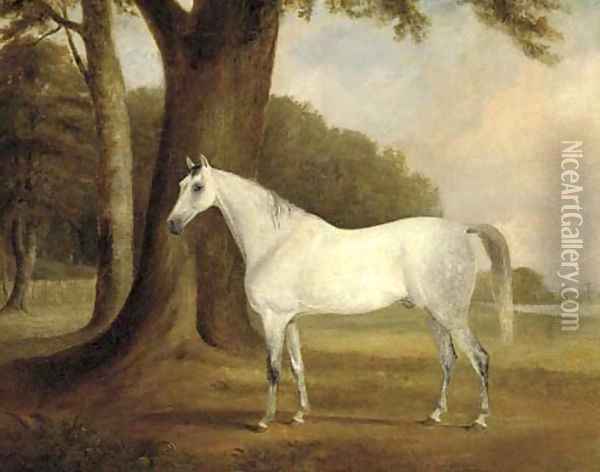 A dappled grey in a landscape Oil Painting - Claude L. Ferneley
