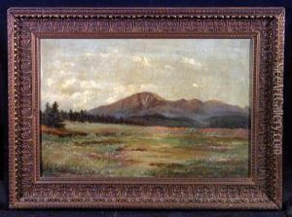 A Meadow Landscape With Mountains In The Distance Oil Painting - Leslie James Skelton