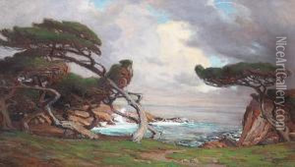 Windblown Cypress, Monterey Oil Painting - Anna Althea Hills