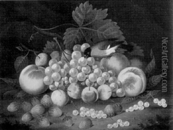 Stilleben Mit Grunem Wein, Pflaumen, Erdberen Und Dompfaff Oil Painting - Johann Wilhelm Preyer