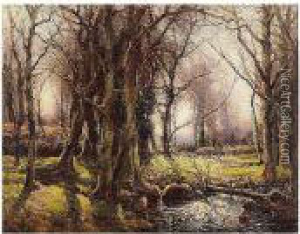 A West Country Woodland Oil Painting - Garstin Cox