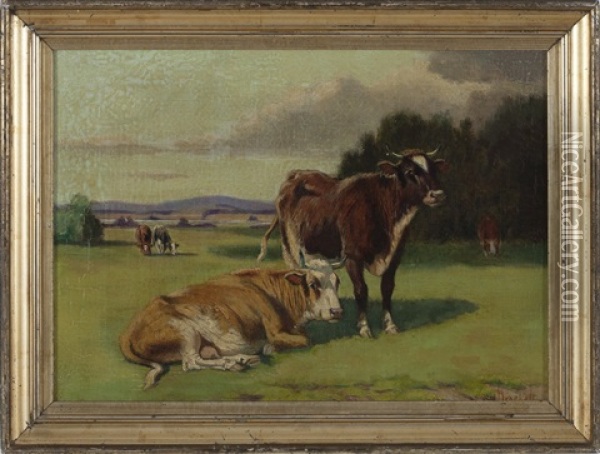 Cattle Grazing In A Field Oil Painting - Sidney Lawrence Brackett