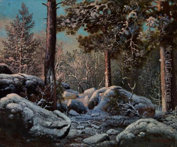 Talvinen Metsamaisema Oil Painting - Ferdinand Wilhelm Von Wright