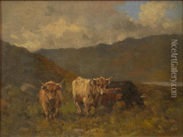 Highland Cattle Oil Painting - John Blake Macdonald