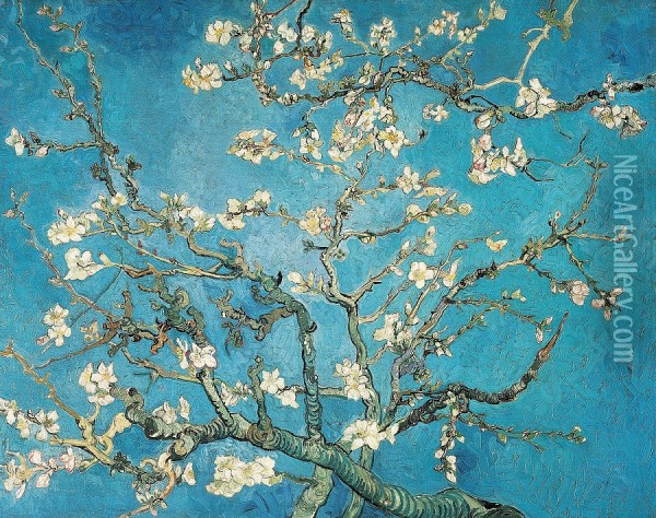 Branches Of An Almond Tree In Blossom Oil Painting - Vincent Van Gogh