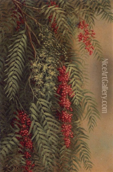 Pepper Tree Branch Oil Painting - Ellen Francis Burpee Farr