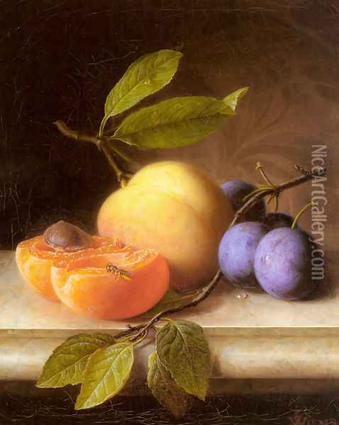 Stilleben Mit Pfirsich Und Pflaumen (Still Life with Peaches and Prunes) Oil Painting - Joseph Peter Wilms