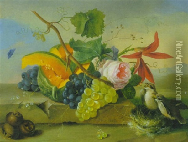 Blumen- Und Fruchtestilleben Mit Vogelnest, Zwei Vogeln Und Haselnussen Vorn Oil Painting - Franz Xaver Petter