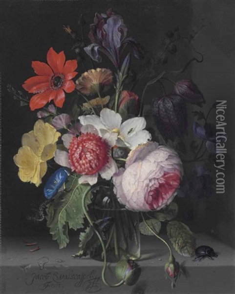 A Peony, An Iris, A Poppy, Anemones, Morning Glory And Other Flowers, In A Glass Vase, With A Caterpillar, A Beetle And Other Insects, On A Stone Ledge Oil Painting - Jacob van Walscapelle
