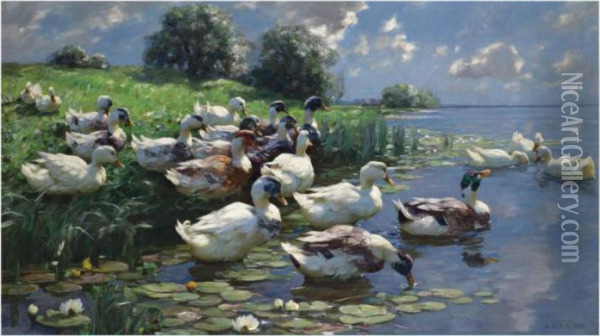 Enten Am Seeufer (ducks On A Lake Shore) Oil Painting - Alexander Max Koester
