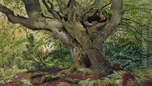 Burnham Beeches Oil Painting - James Matthews