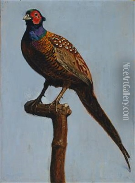 Pheasant Oil Painting - Peter Marius Hansen